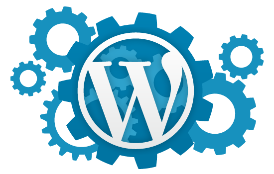 WordPress website design and development by Imajine web solutions