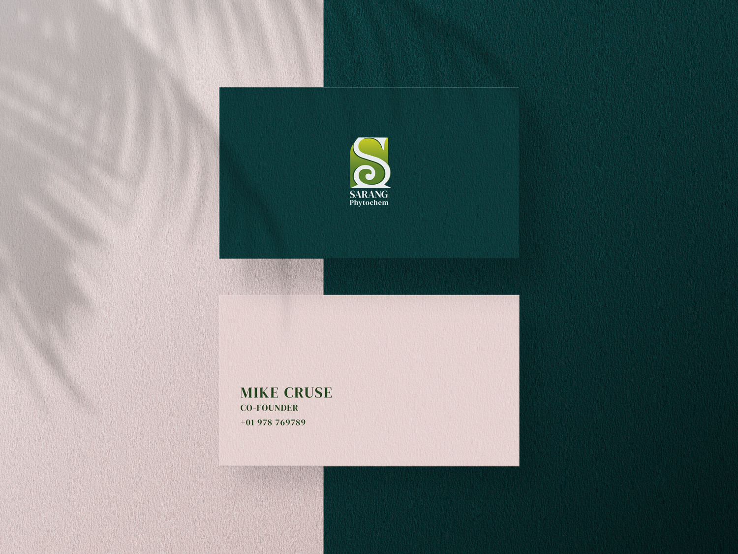Imajine's designed Business card for international herbal products